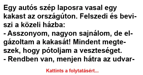 Vicc: Egy autós szép laposra vasal egy kakast az országúton