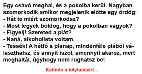 Vicc: Egy csávó meghal, és a pokolba kerül