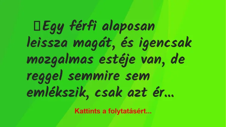 Vicc: Egy férfi alaposan leissza magát