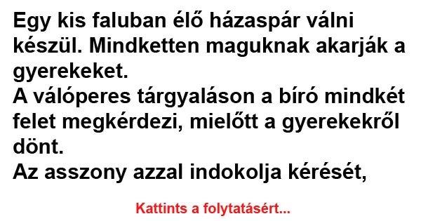 Vicc: Egy kis faluban élő házaspár válni készül Vicc: Egy kis faluban élő házaspár válni készül