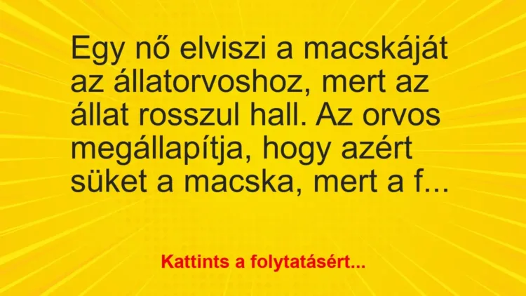 Vicc: Egy nő elviszi a macskáját az állatorvoshoz