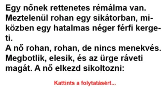 Vicc: Egy nőnek rettenetes rémálma van