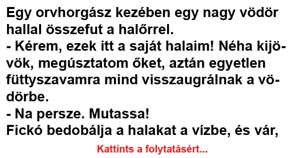 Vicc: Egy orvhorgász kezében egy nagy vödör hallal összefut a Vicc: Egy orvhorgász kezében egy nagy vödör hallal összefut a halőrrel