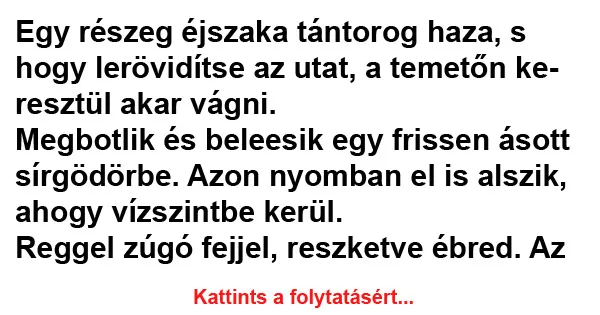 Vicc: Egy részeg éjszaka tántorog haza Vicc: Egy részeg éjszaka tántorog haza