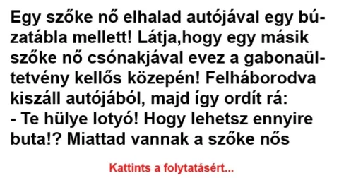 Vicc: Egy szőke nő elhalad autójával egy búzatábla mellett!