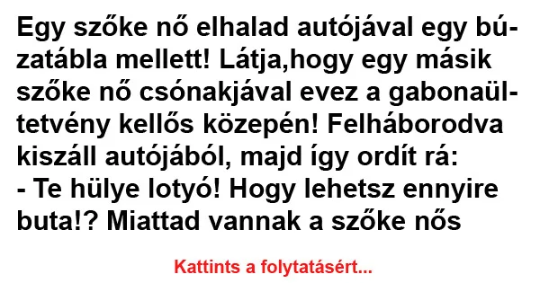 Vicc: Egy szőke nő elhalad autójával egy búzatábla mellett!