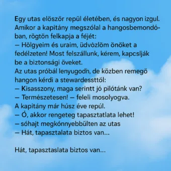 Vicc: Egy utas először repül életében, és nagyon izgul.