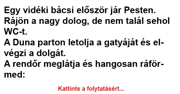Vicc: Egy vidéki bácsi először jár Pesten