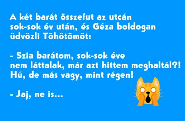 Vicc: Géza és Töhötöm, két barát sok-sok év után találkozik. Vicc: Géza és Töhötöm, két barát sok-sok év után találkozik. Töhötöm teljesen…
