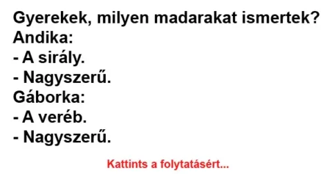 Vicc: Gyerekek, milyen madarakat ismertek?