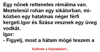 Vicc: Igor és Szása vesznek egy üveg vodkát
