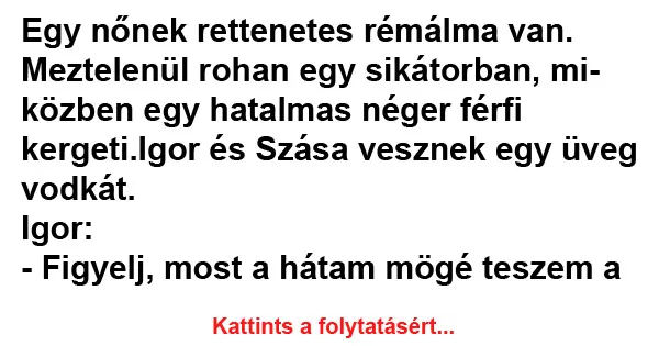 Vicc: Igor és Szása vesznek egy üveg vodkát
