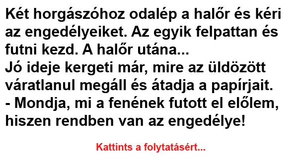 Vicc: Két horgászóhoz odalép a halőr és kéri az engedélyeiket