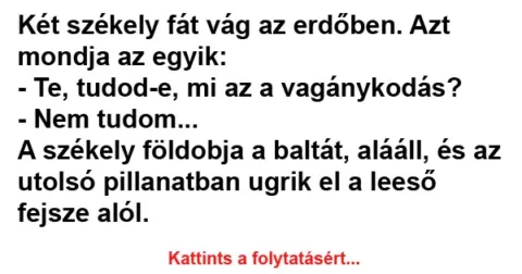 Vicc: Két székely fát vág az erdőben