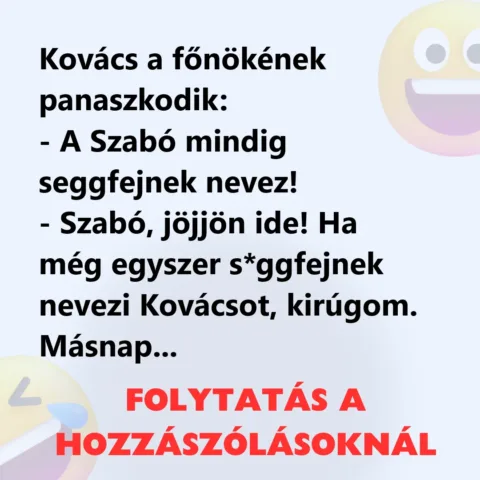 Vicc: Kovács a főnökének panaszkodik