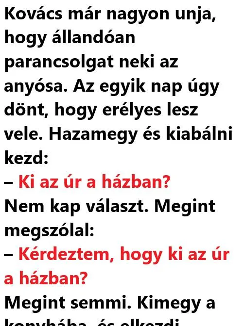 Vicc: Kovács már nagyon unja, hogy állandóan parancsolgat neki az anyósa