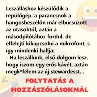 Vicc: Leszálláshoz készülődik a repülőgép