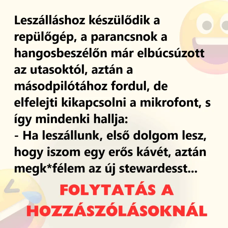 Vicc: Leszálláshoz készülődik a repülőgép