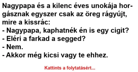 Vicc: Nagypapa és a kilenc éves unokája horgásznak
