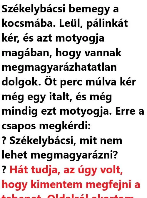 Vicc: Székelybácsi bemegy a kocsmába