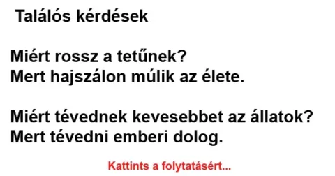 Vicc: Találós kérdések