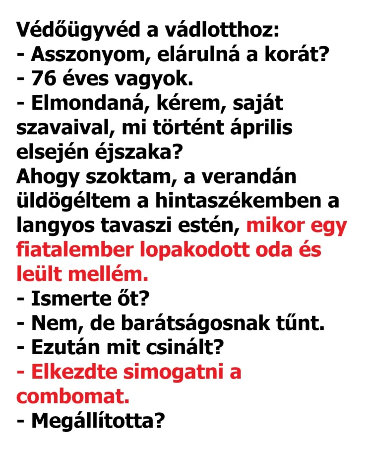 Vicc: Védőügyvéd a vádlotthoz