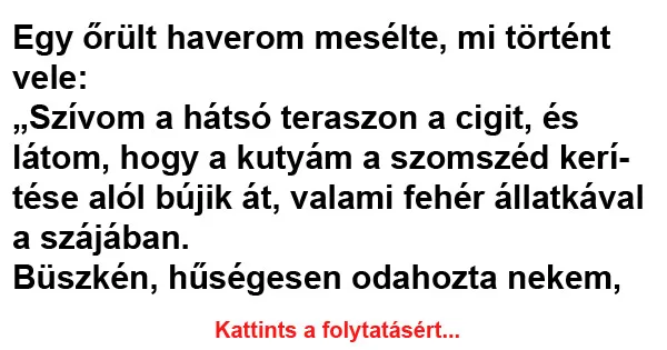 Vicc: „Szívom a hátsó teraszon a cigit, és látom, hogy a kutyám a szomszéd kerítése…