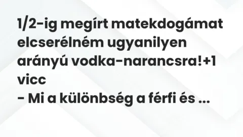 Vicc: 1/2-ig megírt matekdogámat elcserélném ugyanilyen arányú vodka-narancsra!