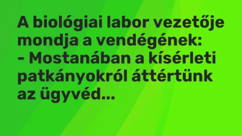 Vicc: A biológiai labor vezetője mondja a vendégének:

– Mostanában a kísérleti…