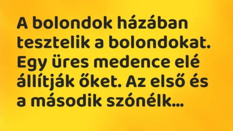 Vicc: A bolondok házában tesztelik a bolondokat. Egy üres medence elé állítják őket. A…