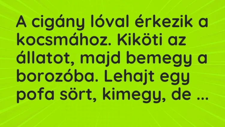 Vicc: A cigány lóval érkezik a kocsmához. Kiköti az állatot, majd bemegy a borozóba….