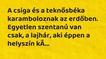 Vicc: A csiga és a teknősbéka karamboloznak az erdőben. Egyetlen szentanú van…
