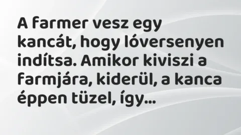 Vicc: A farmer vesz egy kancát, hogy lóversenyen indítsa. Amikor kiviszi a farmjára,…