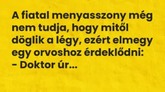 Vicc: A fiatal menyasszony még nem tudja, hogy mitől döglik a légy, ezért elmegy egy…