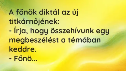 Vicc: A főnök diktál az új titkárnőjének:

– Írja, hogy összehívunk egy…