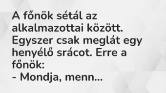 Vicc: A főnök sétál az alkalmazottai között. Egyszer csak meglát egy henyélő srácot….
