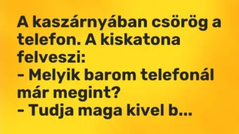 Vicc: A kaszárnyában csörög a telefon. A kiskatona felveszi: – Melyik barom…