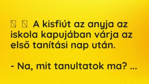 Vicc: 
	    	    A kisfiút az anyja az iskola kapujában várja az első tanítási nap…