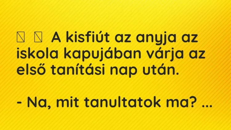 Vicc:
A kisfiút az anyja az iskola kapujában várja az első tanítási nap… Vicc:
A kisfiút az anyja az iskola kapujában várja az első tanítási nap…