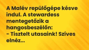 Vicc: A Malév repülőgépe késve indul. A stewardess mentegetőzik a…