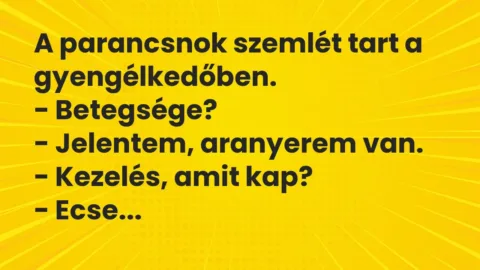Vicc: A parancsnok szemlét tart a gyengélkedőben.

– Betegsége?

– Jelentem, a…