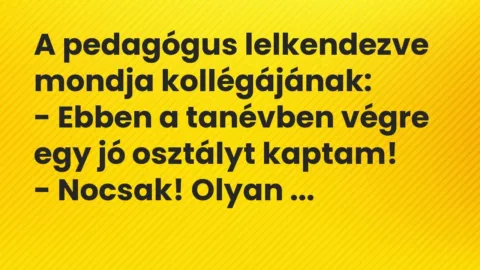 Vicc: A pedagógus lelkendezve mondja kollégájának:

– Ebben a tanévben végre egy…