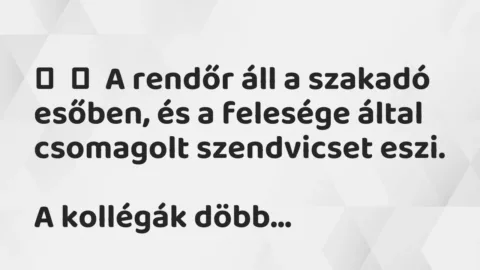 Vicc: 
	    	    A rendőr áll a szakadó esőben, és a felesége által csomagolt…