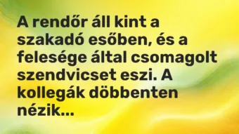 Vicc: A rendőr áll kint a szakadó esőben, és a felesége által csomagolt szendvicset…