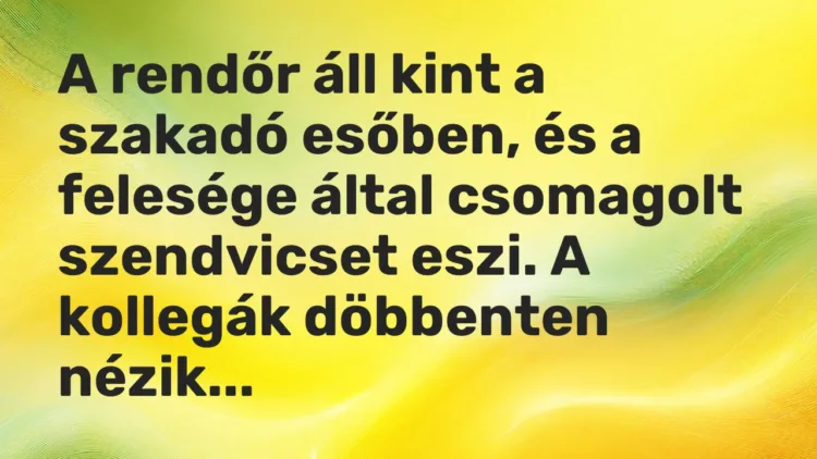 Vicc: A rendőr áll kint a szakadó esőben, és a felesége által csomagolt szendvicset…