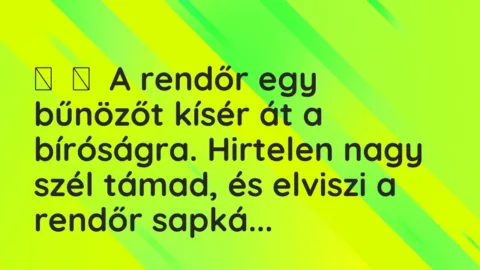 Vicc: 
	    	    A rendőr egy bűnözőt kísér át a bíróságra. Hirtelen nagy szél támad, …