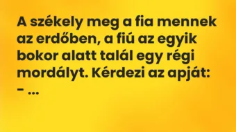 Vicc: A székely meg a fia mennek az erdőben, a fiú az egyik bokor alatt talál egy régi…