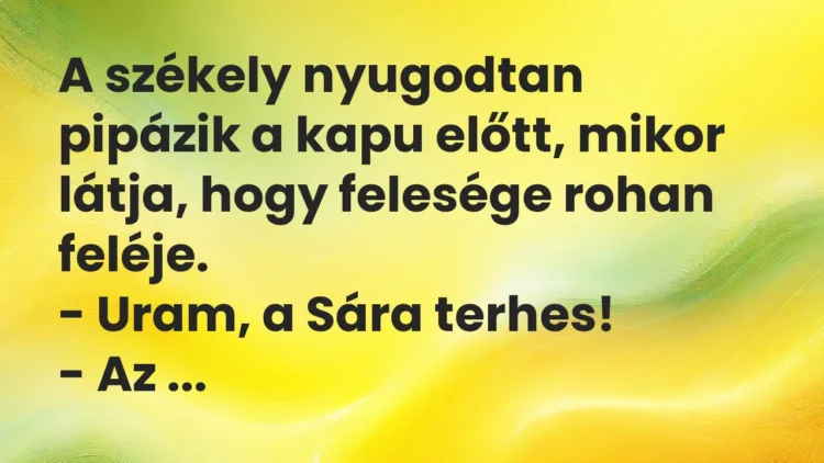 Vicc: A székely nyugodtan pipázik a kapu előtt, mikor látja, hogy felesége rohan…