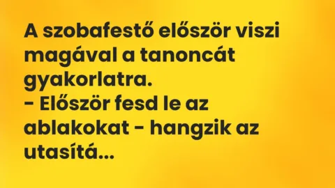 Vicc: A szobafestő először viszi magával a tanoncát gyakorlatra.

– Először fesd…