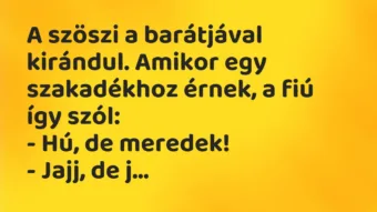 Vicc: A szöszi a barátjával kirándul. Amikor egy szakadékhoz érnek, a fiú így…
